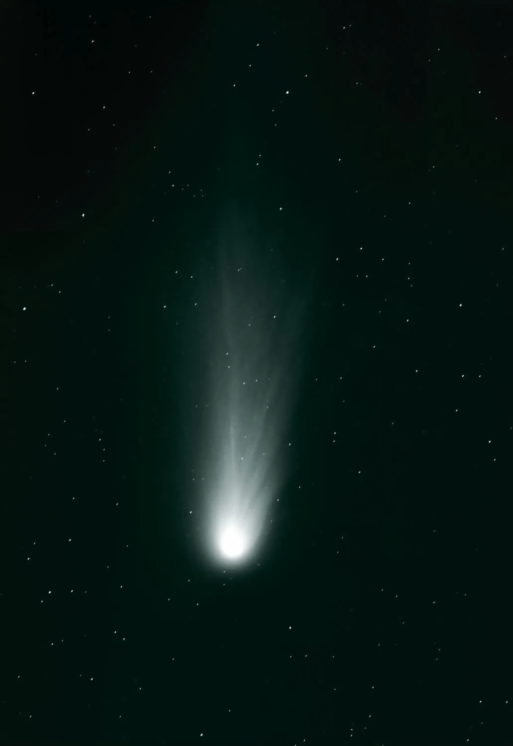 A comet with a long tail against a black sky