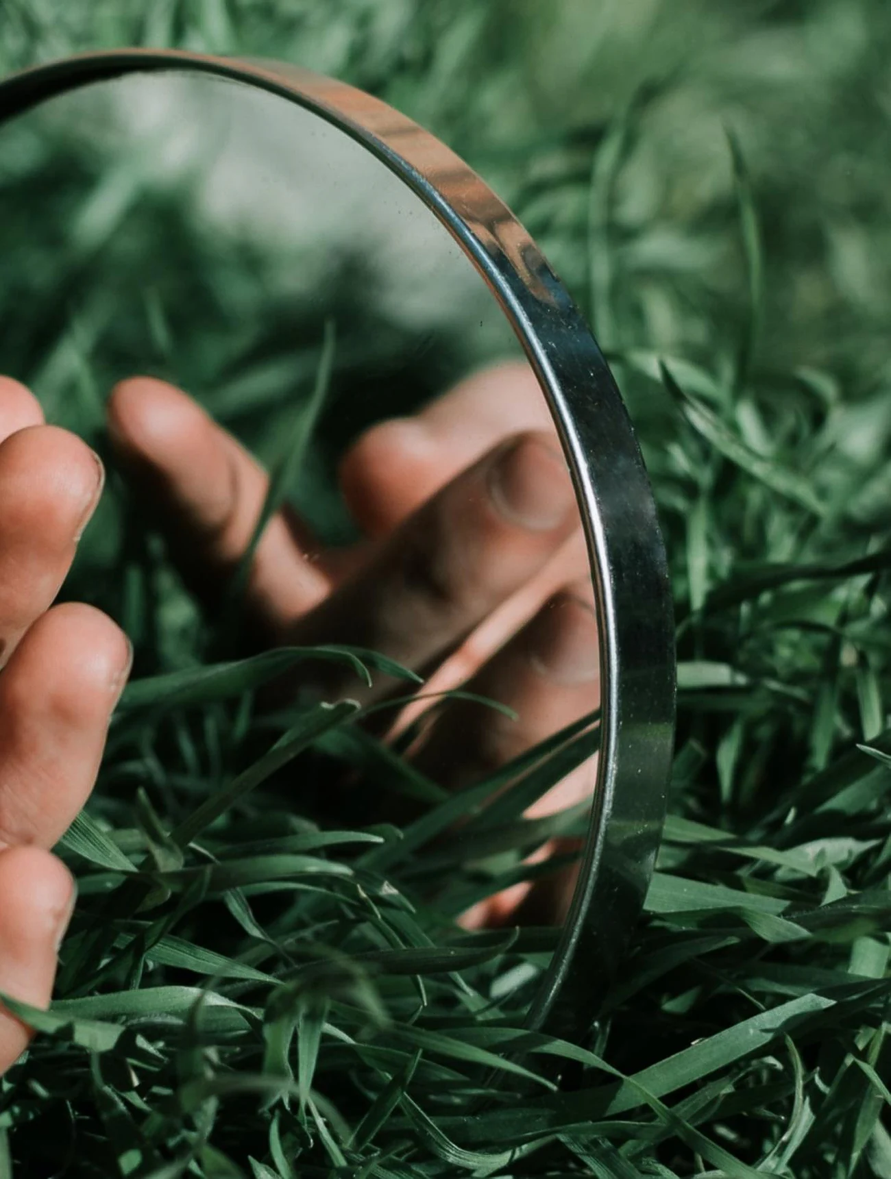 A hand holding a round mirror in long grass