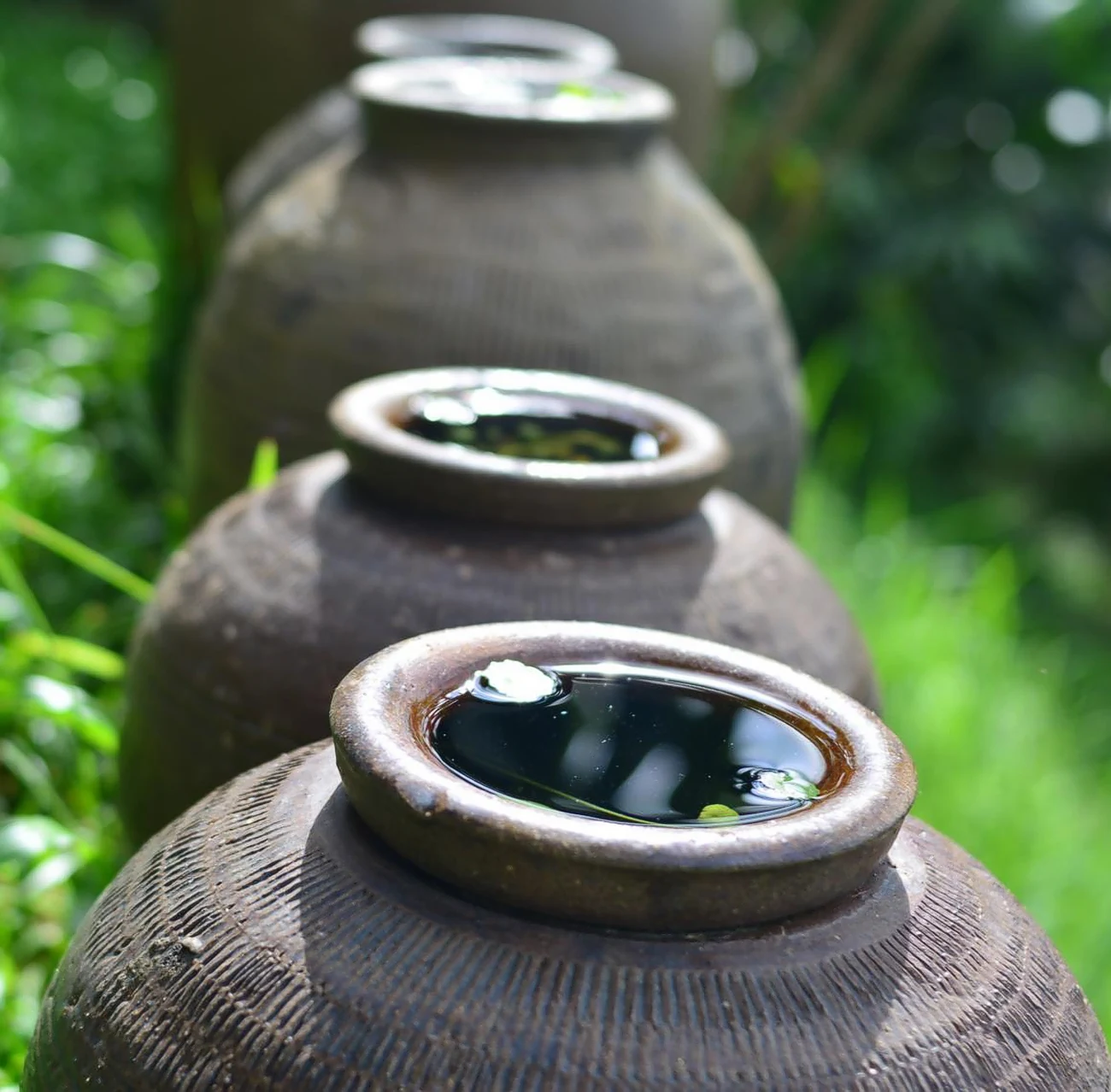 Clay pots filled with water in a garden